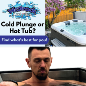 Hot Tub vs Cold Plunge